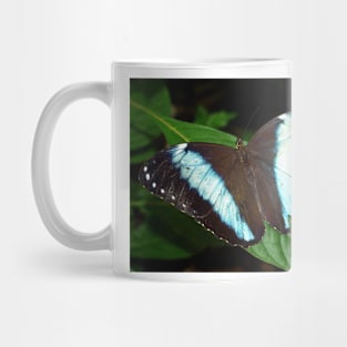 Blue Striped Butterfly Mug